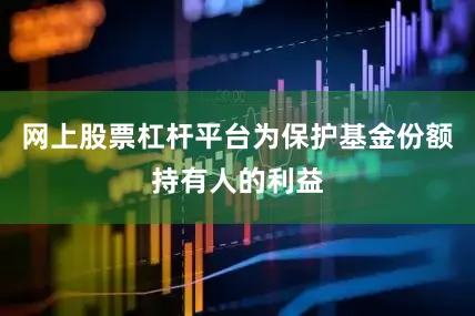 网上股票杠杆平台为保护基金份额持有人的利益